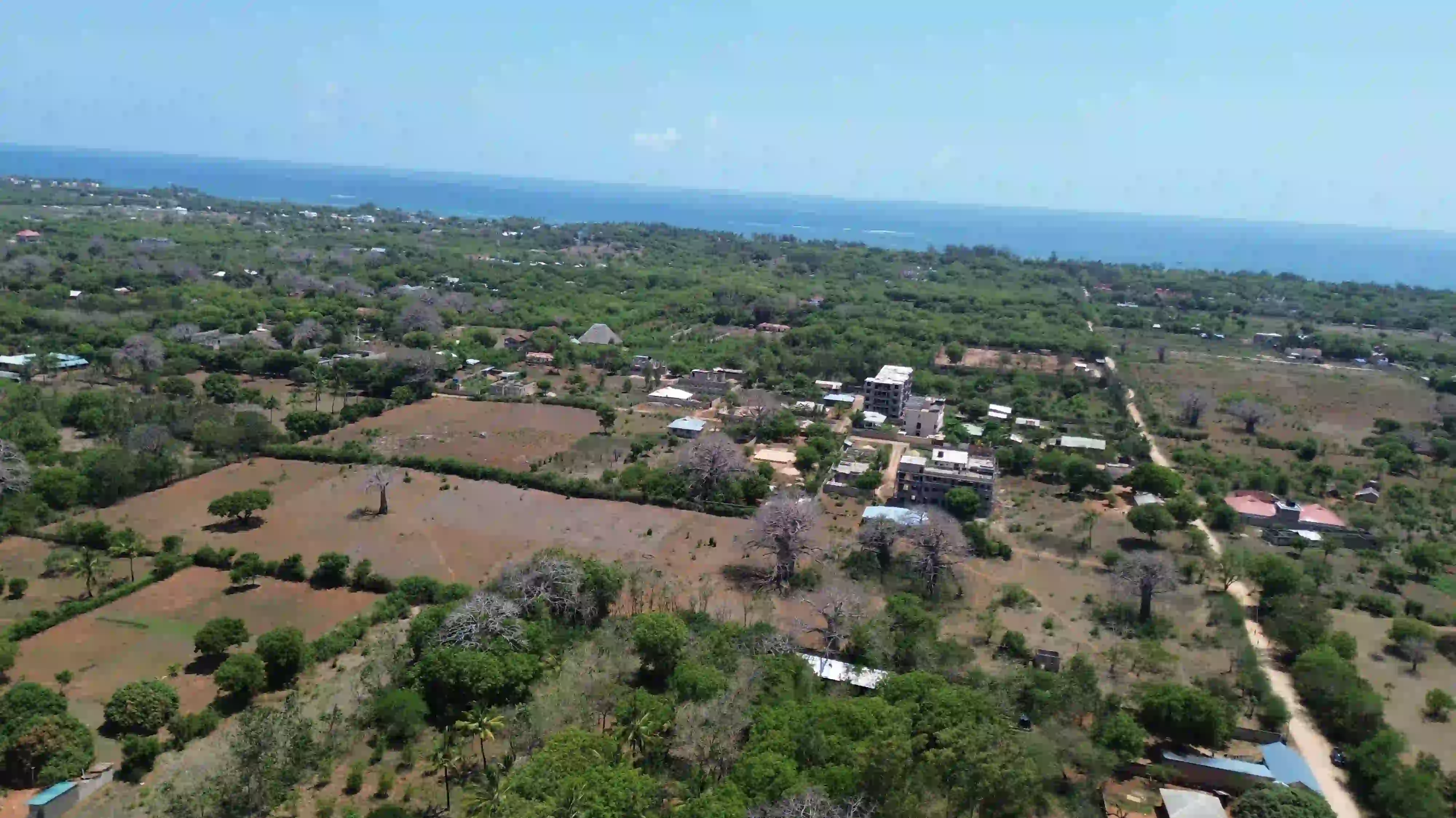 Diani