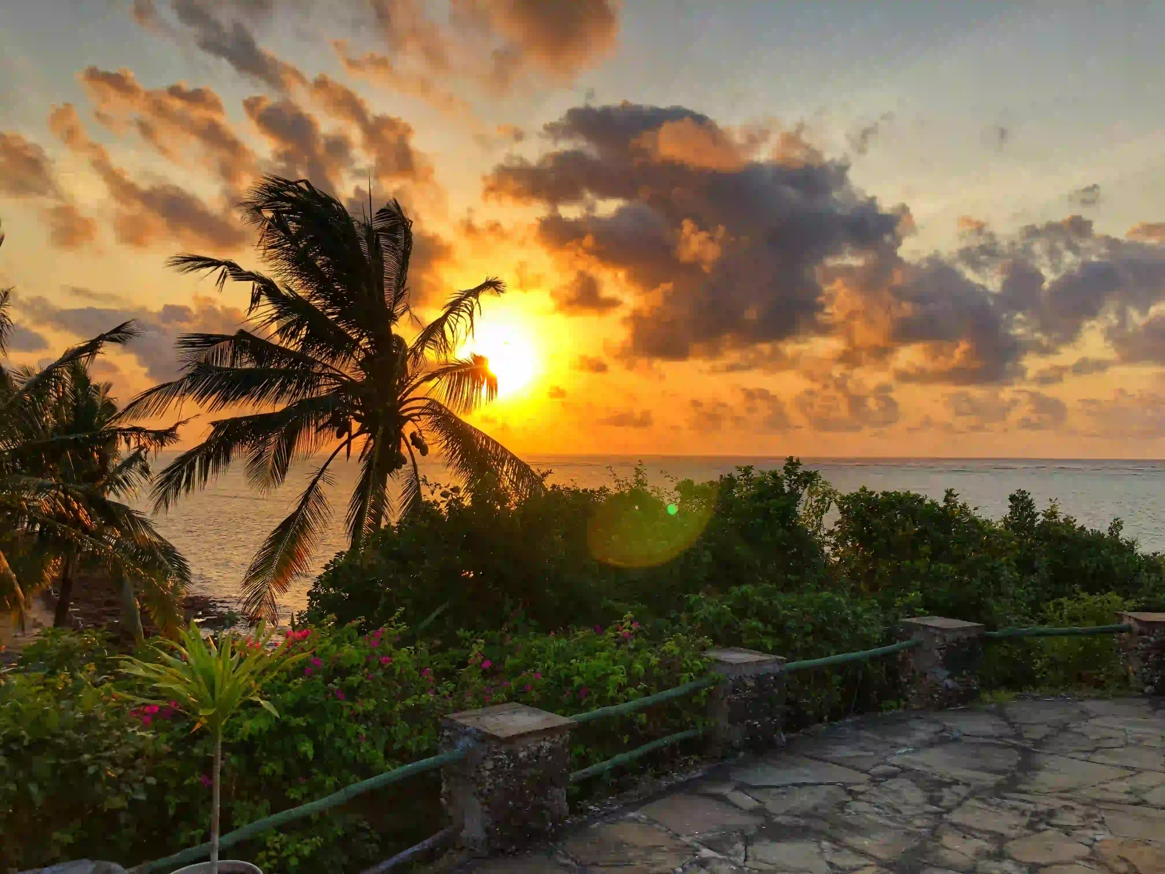 Diani photo 11